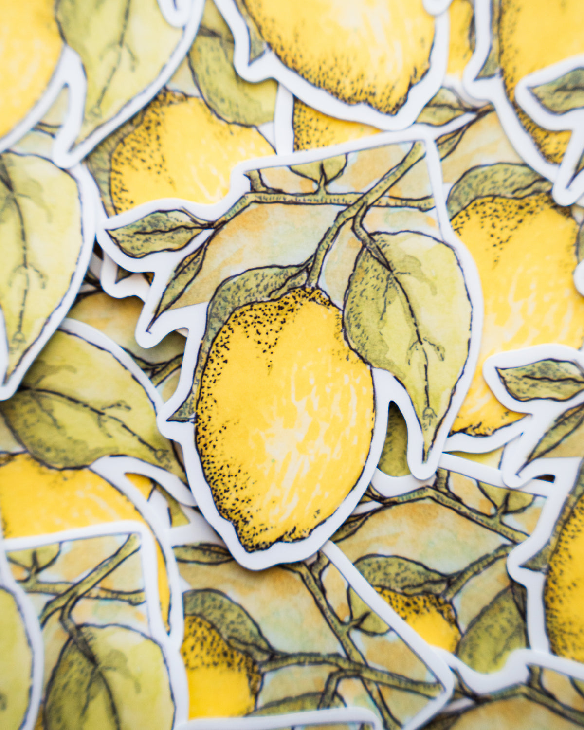 Zeste de lumière - Sticker