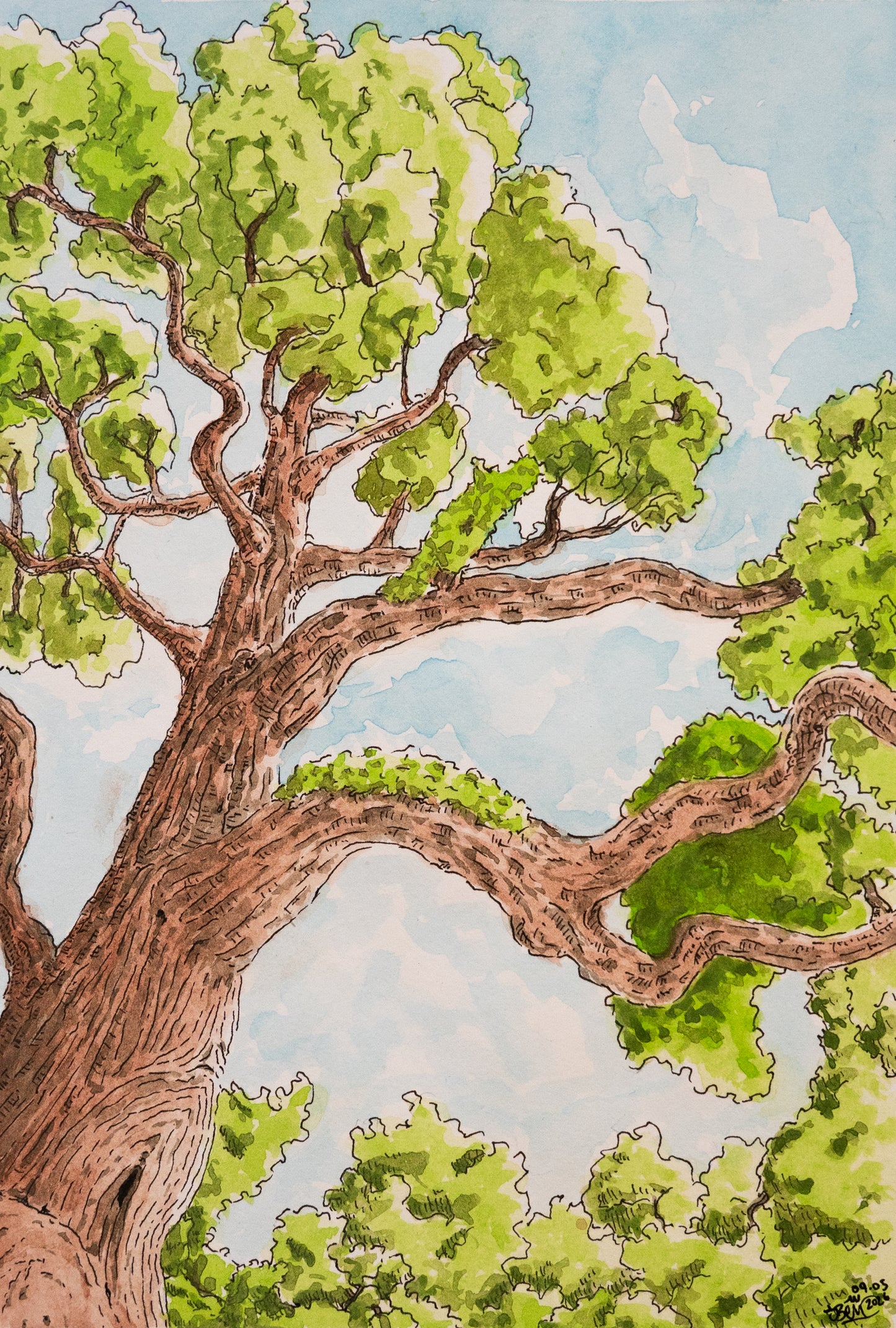 Au rythme des feuilles - Œuvre originale, Aquarelle et encre, A5