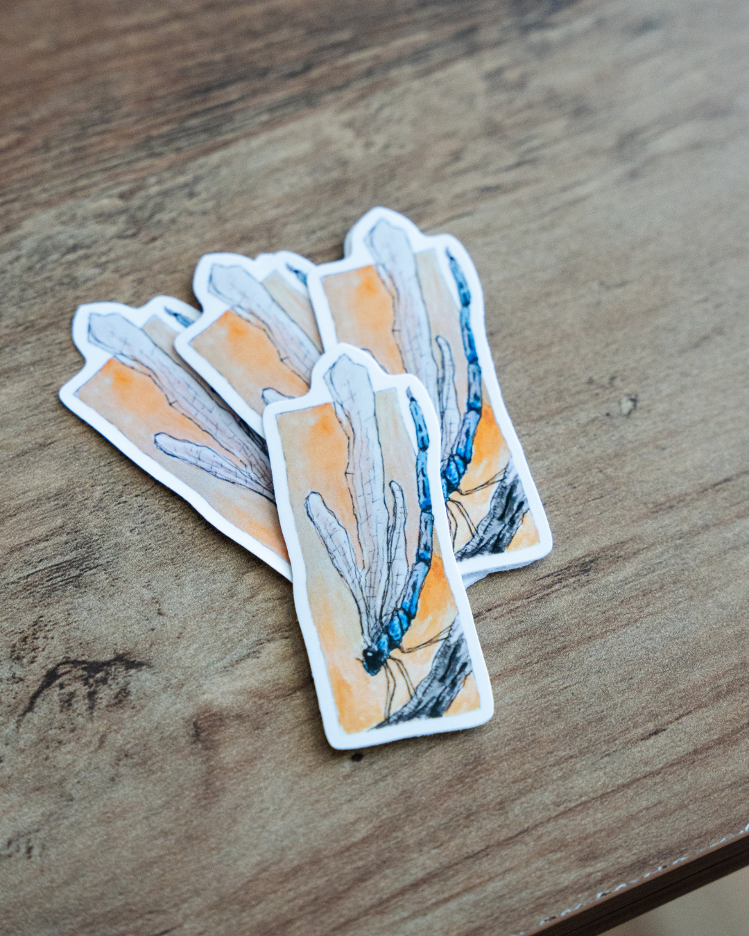 La Libellule - Sticker