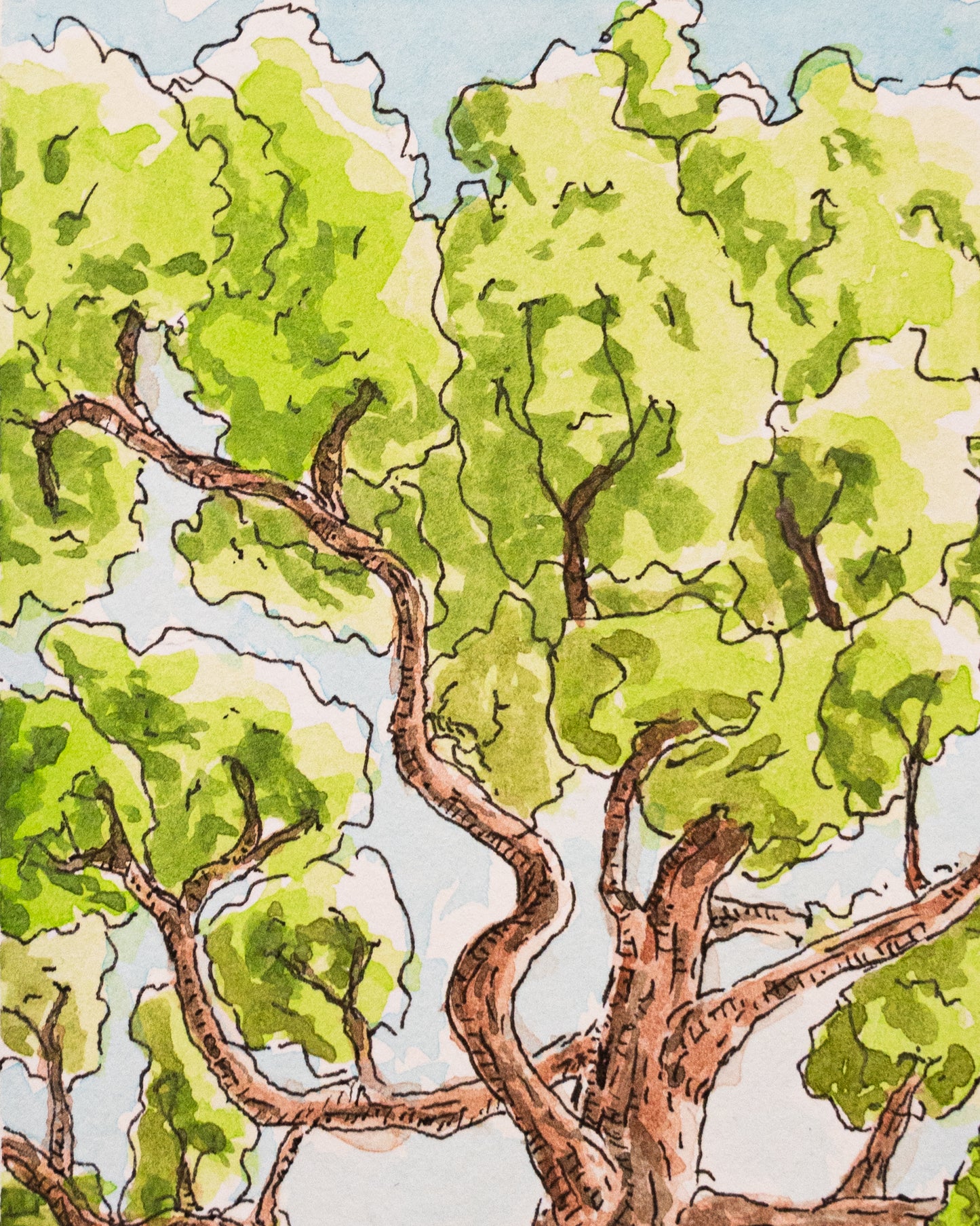 Au rythme des feuilles - Œuvre originale, Aquarelle et encre, A5
