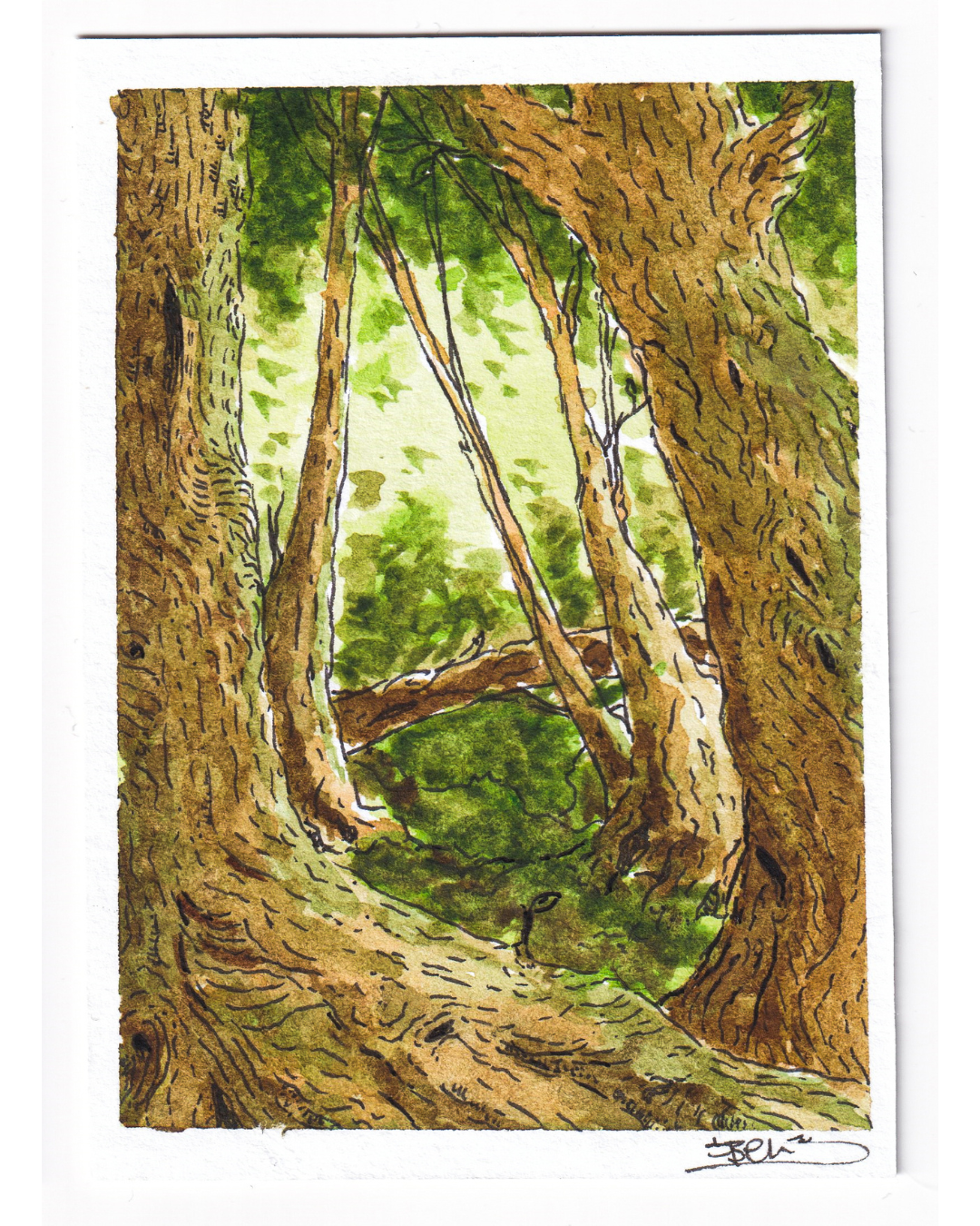 Il faut s'approcher pour entrer dedans.
Les troncs s'écartent à peine.
Juste assez pour laisser passer la lumière.
Juste assez pour laisser passer quelqu'un qui cherche le calme.
Au centre, le vert explose doucement.
Comme si la forêt gardait son secret le plus précieux là, au milieu.
Là où personne ne regarde vraiment.
Cette pièce se tient dans la main.
Elle ne prend pas de place sur un mur.
Elle prend de la place autrement.
Signé SBENart
Expédition incluse.
Format approximatif : 6,4 × 8,9 cm