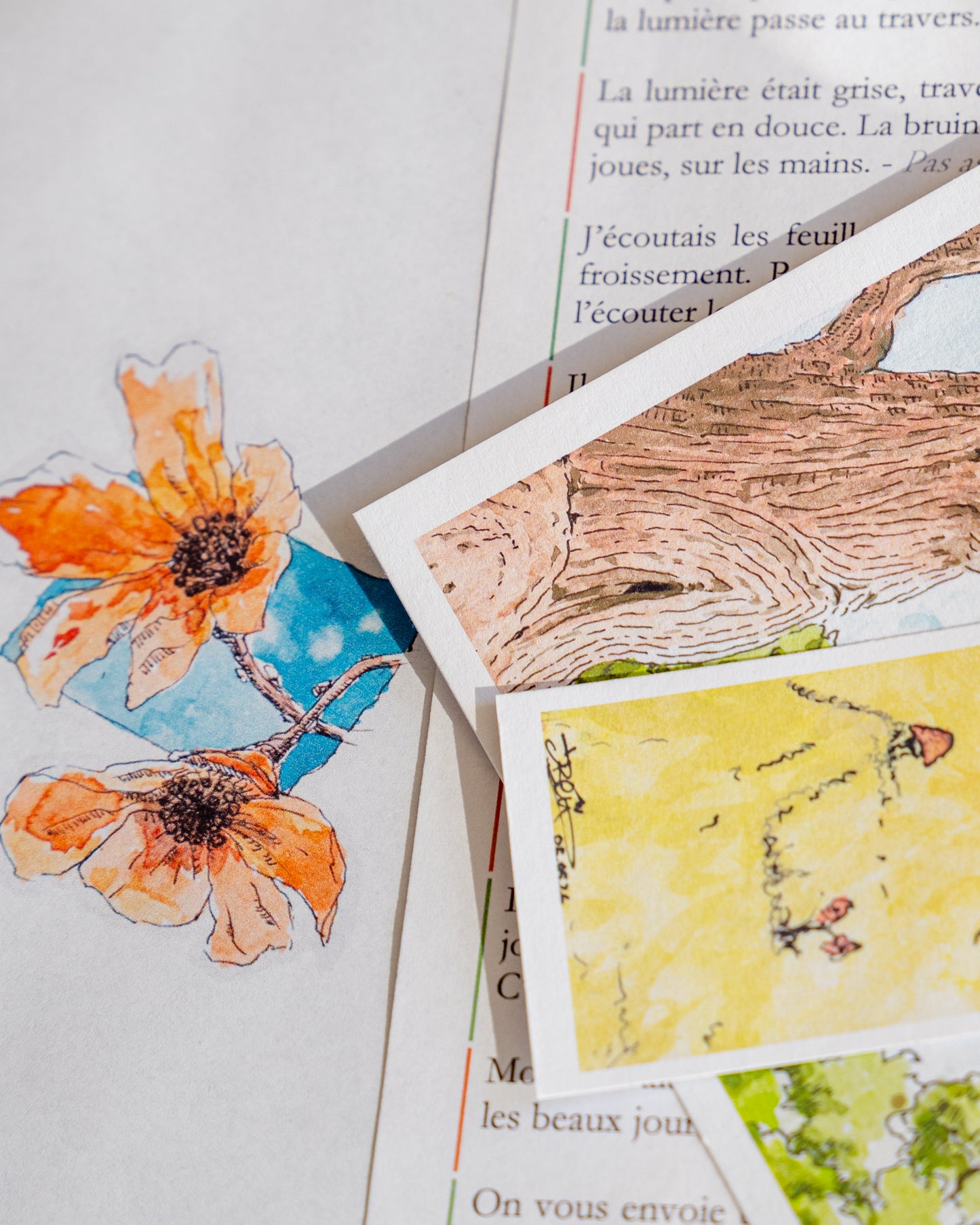 Wee Art Club - Notre Snail Mail
